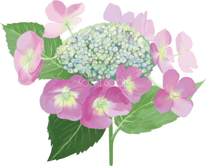 すべての美しい花の画像 無料ダウンロード花 イラスト おしゃれ 一輪