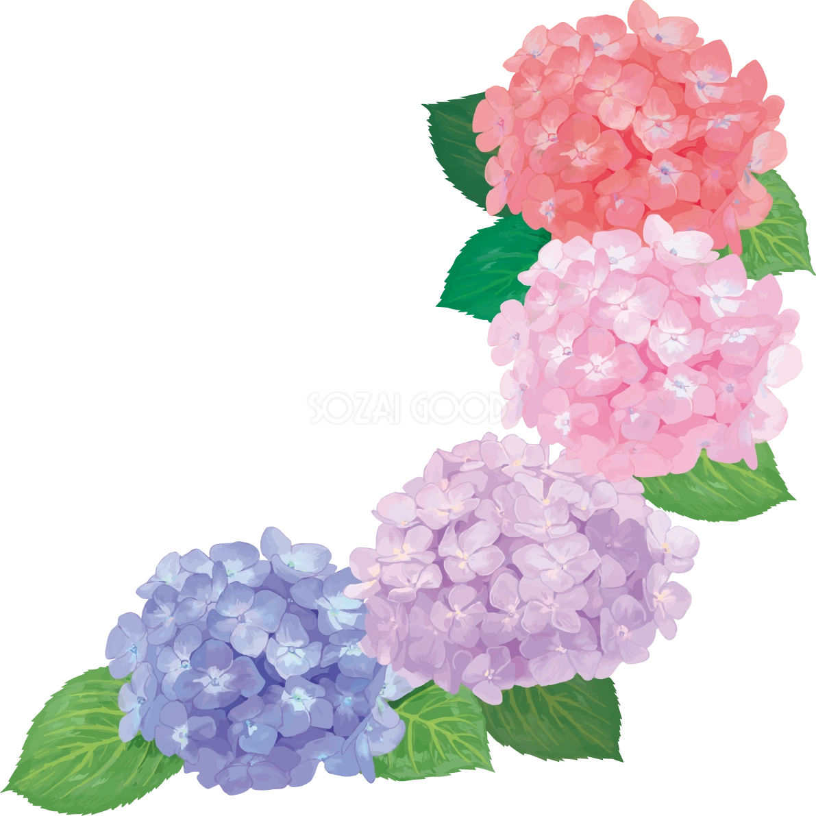 おしゃれ綺麗な角飾りグレデーションの紫陽花イラスト(梅雨)無料フリー83875