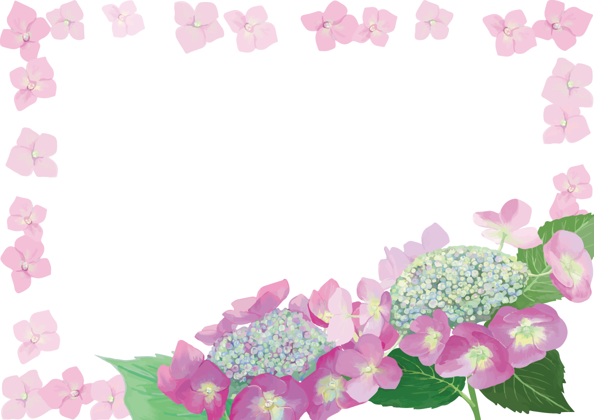 ピンク額紫陽花(ガクアジサイ)と花びらフレーム枠イラスト「おしゃれ綺麗」無料フリー83896に写真・文字を入れる