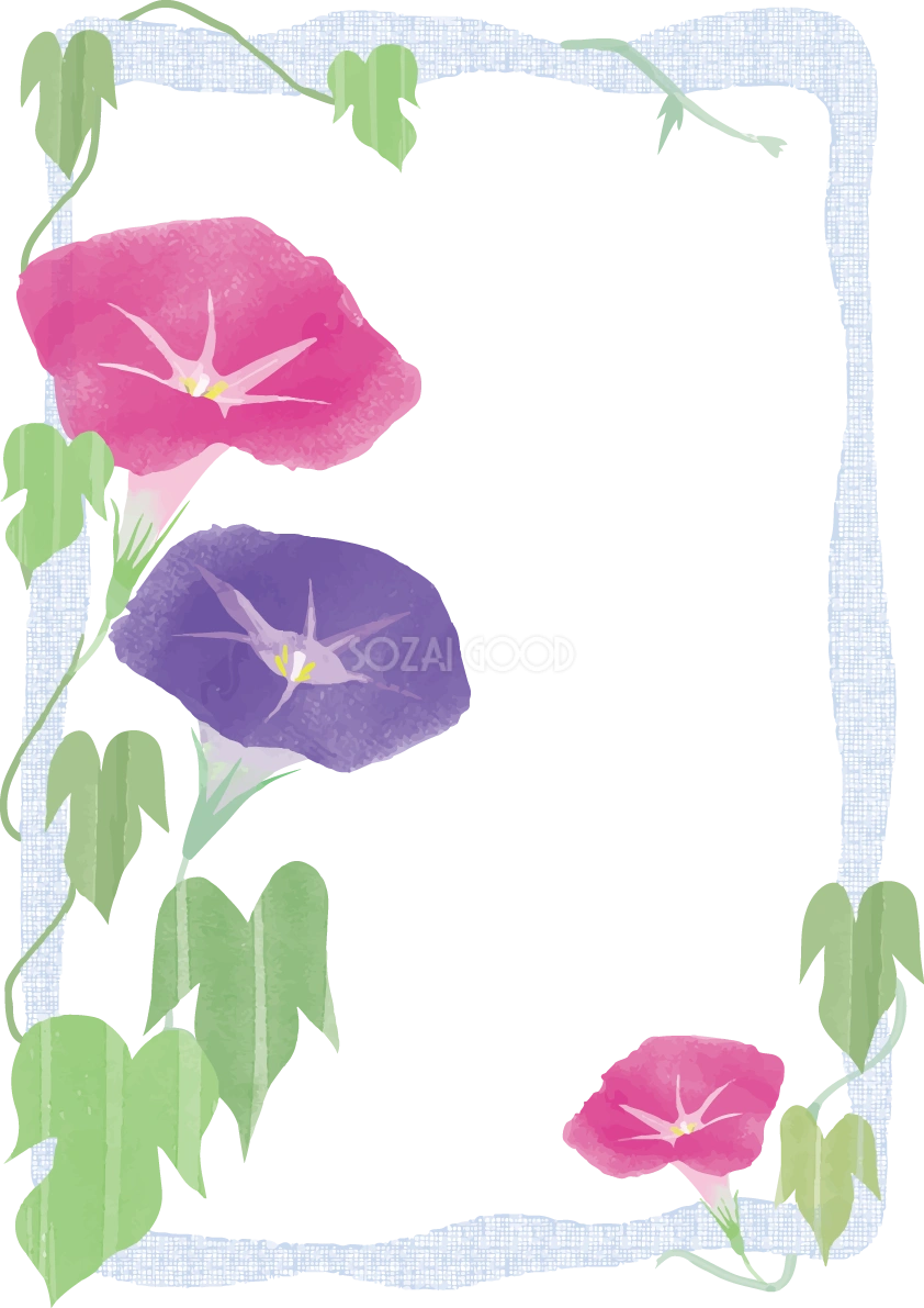 おしゃれでリアルなピンクと紫の朝顔フレーム枠イラスト無料フリー84001