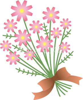 かわいいたくさんのコスモスの花束イラスト無料フリー84509