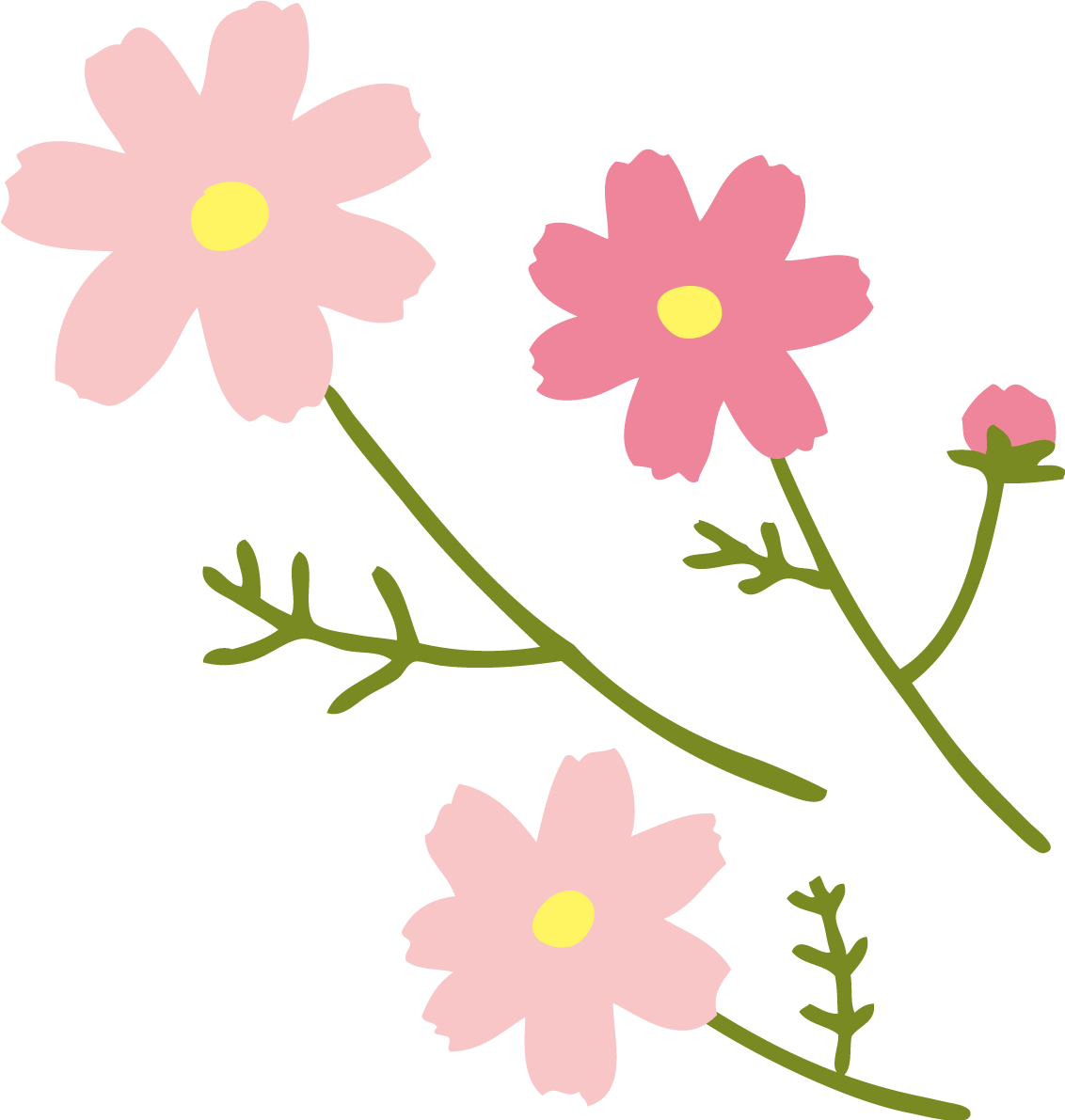 かわいい手描き風のコスモス(秋桜)イラスト無料フリー84512に写真・文字を入れる