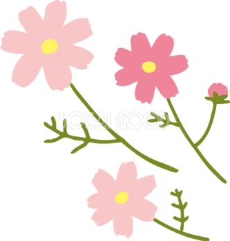 コスモス 秋桜 イラスト 無料フリー 素材good