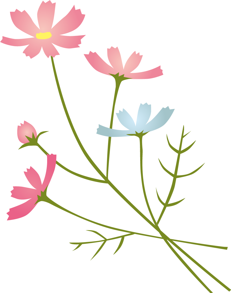 リアルなタッチのおしゃれコスモス(秋桜)イラスト無料フリー84513に写真・文字を入れる