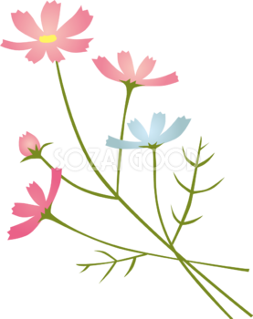 コスモス 秋桜 イラスト 無料フリー 素材good