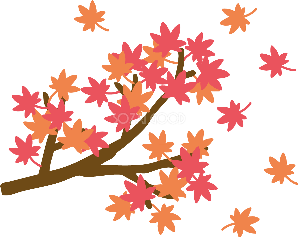 おしゃれなもみじの枝 紅葉イラスト無料フリー84526