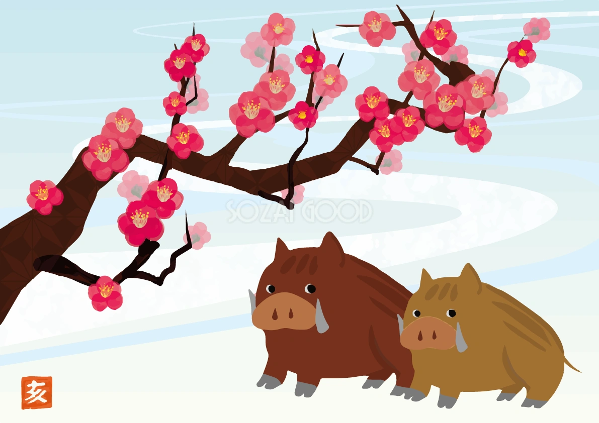 かわいい梅花とイノシシの亥年の年賀状背景イラスト無料フリー84805