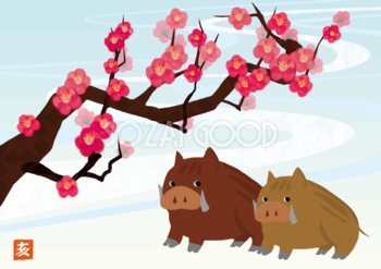 かわいい梅花とイノシシの亥年の年賀状背景イラスト無料フリー84805