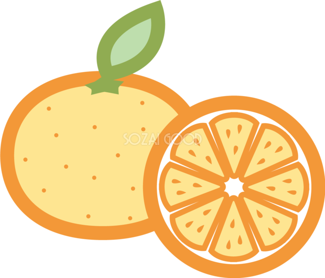 かわいい 柑橘 イラスト 最高の壁紙のアイデアcahd