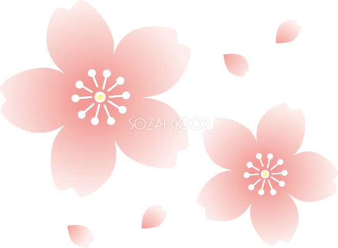 グラデーションの桜の花びら おしゃれ無料 フリー イラスト 素材good