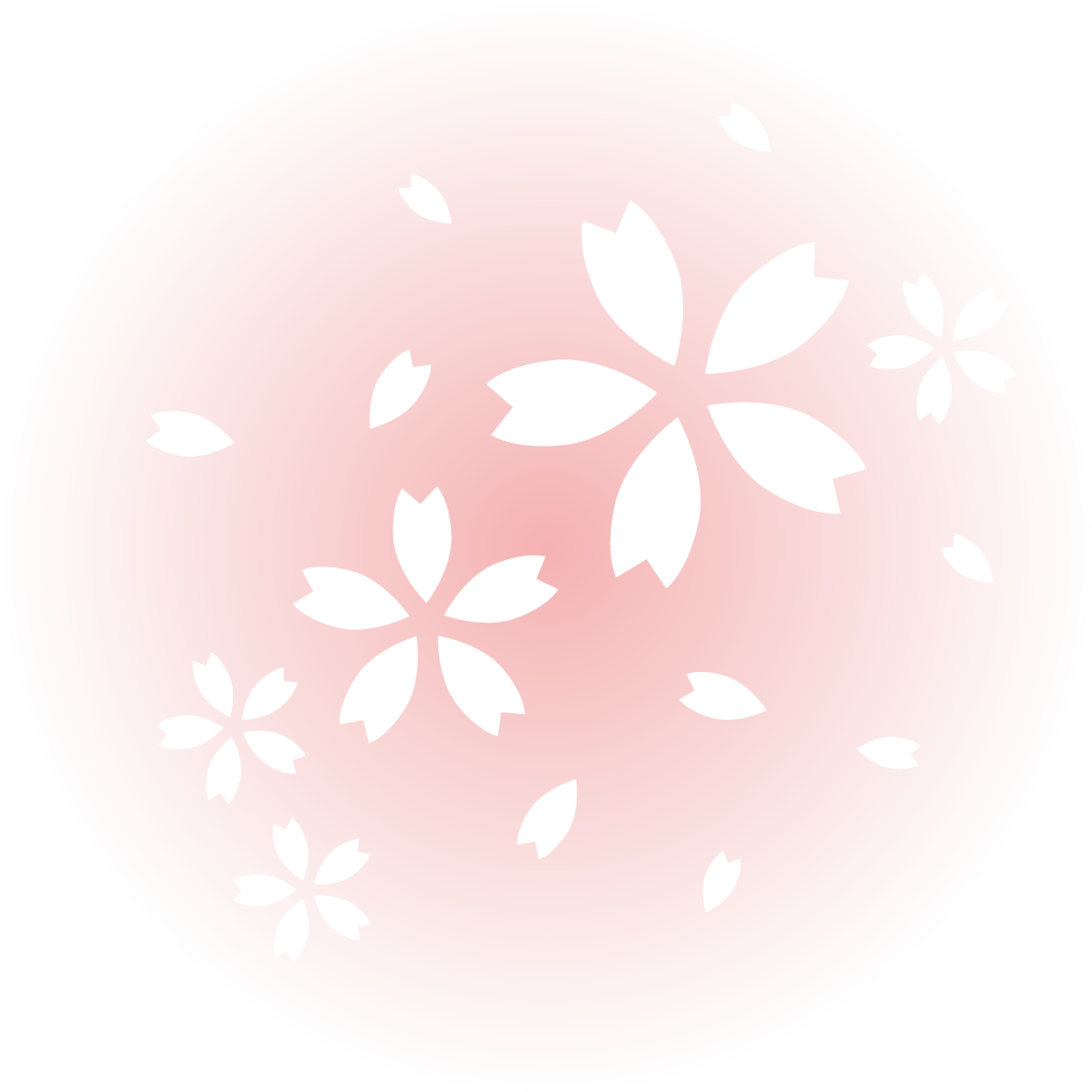 ピンクの光の中に白い桜の花びら おしゃれ無料(フリー)イラスト85368に写真・文字を入れる