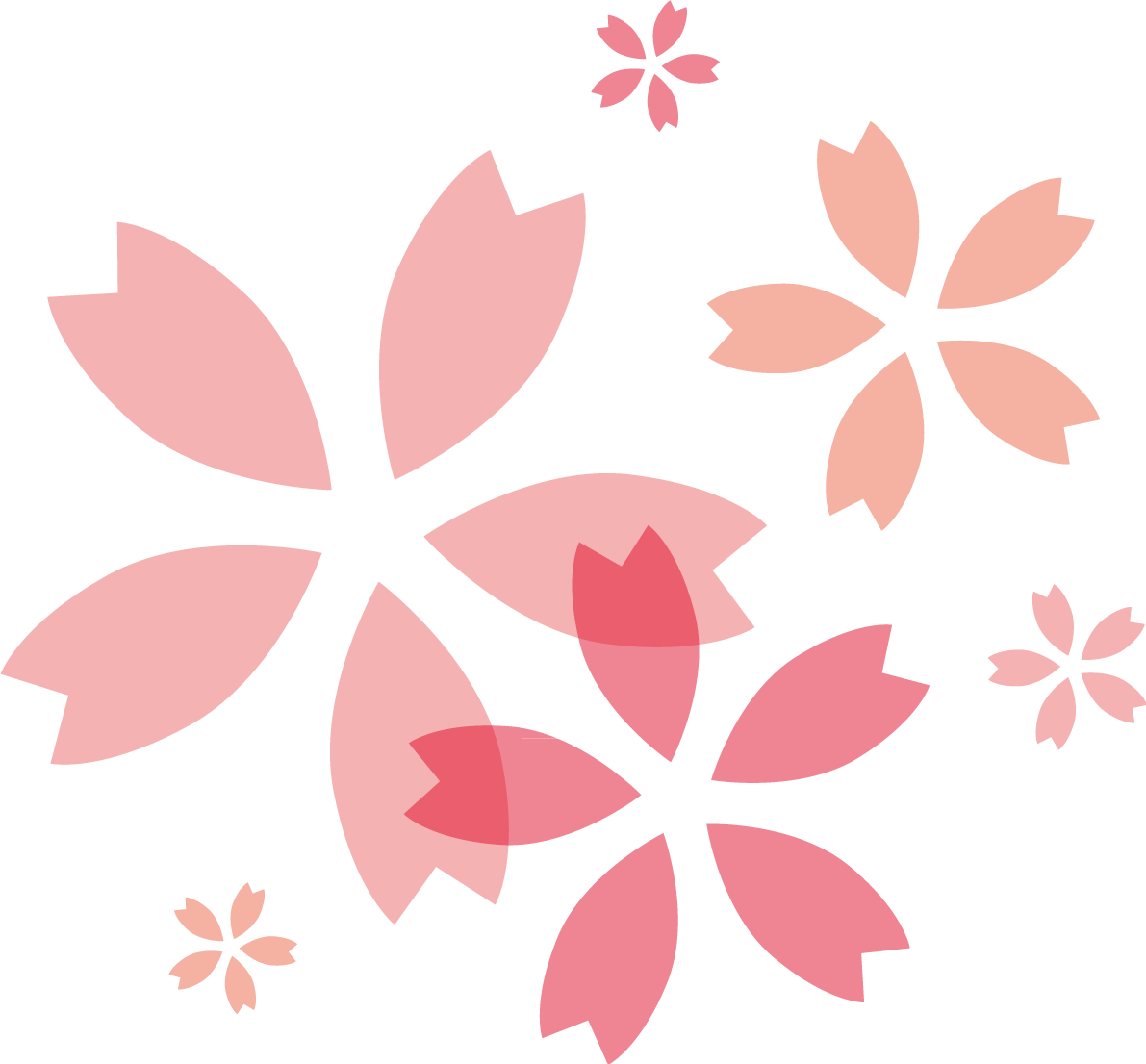 色んなピンクの桜の花びら おしゃれ無料(フリー)イラスト85376に写真・文字を入れる