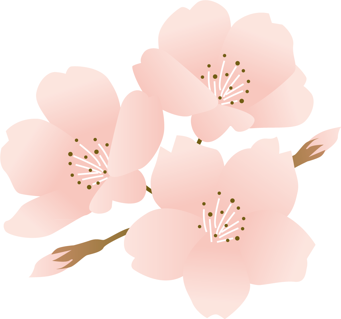 綺麗タッチの桜  おしゃれ和風の無料(フリー)イラスト85390に写真・文字を入れる