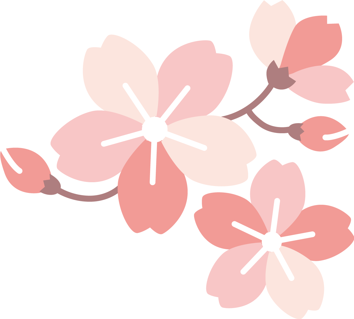 花びらが色んなピンクの桜  おしゃれ和風の無料(フリー)イラスト85392に写真・文字を入れる