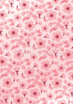 桜かわいい花染背景柄イラスト無料フリー85438