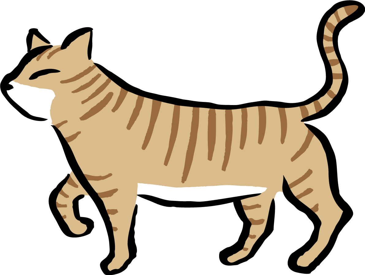 歩くポーズのトラ猫 かわいい筆描き風ネコのイラスト無料 フリー86622に写真・文字を入れる