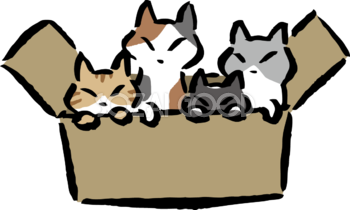 段ボールの中から顔を出すポーズの4匹の猫 かわいいネコ イラスト無料 フリー86748