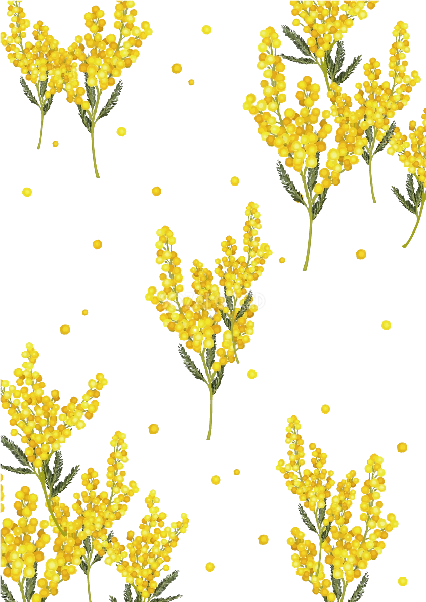 縦のたくさんのミモザ 背景イラスト無料 フリー87038