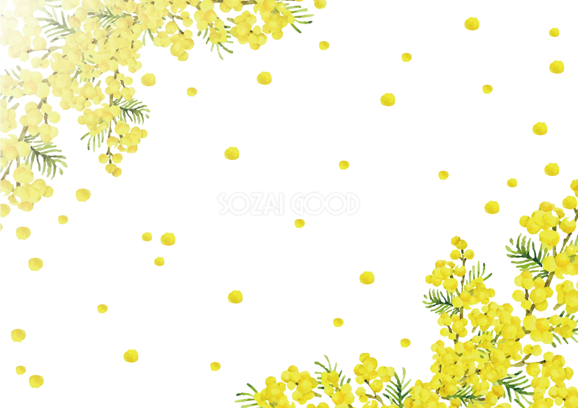対角線上にミモザ 背景イラスト無料 フリー87050