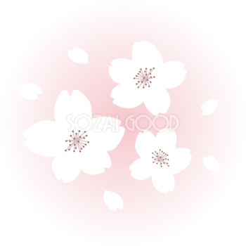 ピンクの光の中にかわいい白い桜の花と花びらイラスト無料 フリー87089