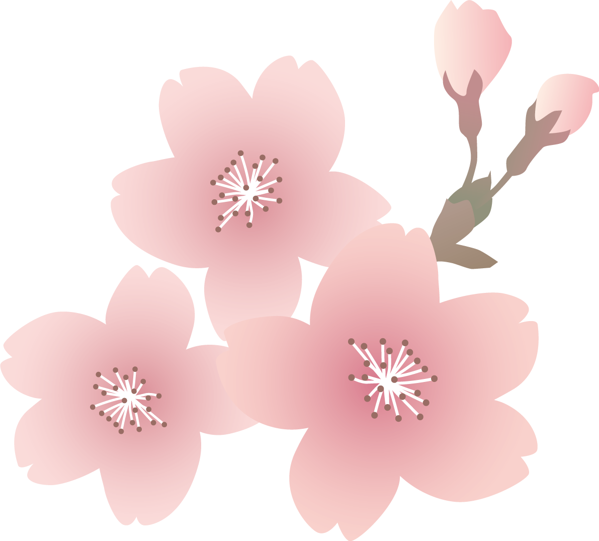 リアル綺麗な桜の花イラスト無料 フリー87090に写真・文字を入れる