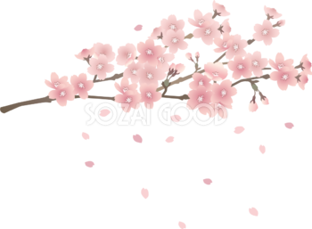 リアル綺麗な桜の枝から散る花びらイラスト無料 フリー87091