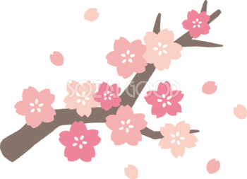 かわいい桜の枝イラスト無料 フリー87096