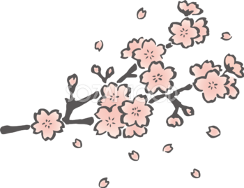 かわいい筆描き風の桜の枝から散る花びらイラスト無料 フリー87101