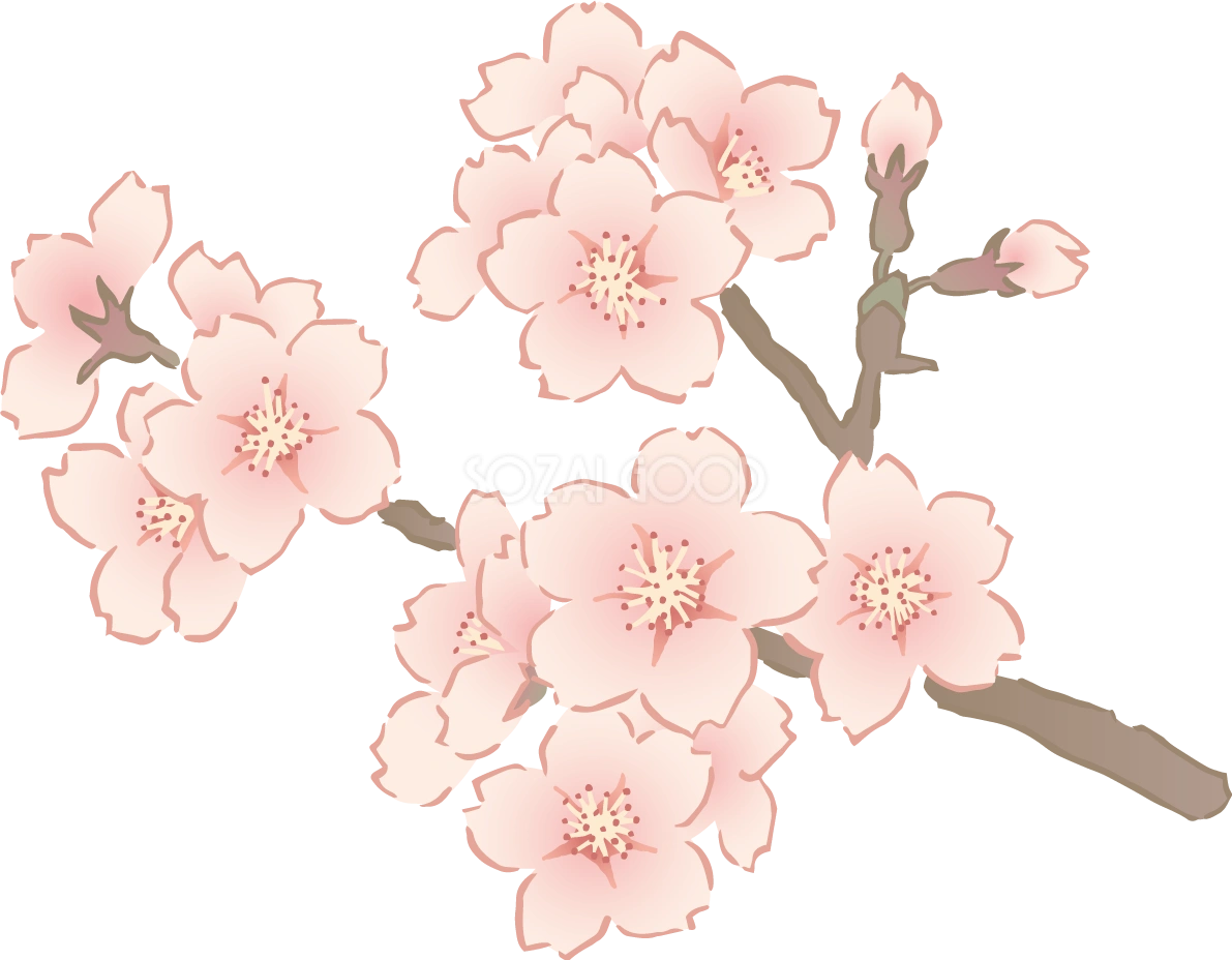 おしゃれなペン画タッチの桜の枝の先端部分イラスト無料 フリー87130