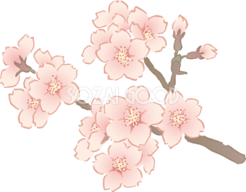 おしゃれなペン画タッチの桜の枝の先端部分イラスト無料 フリー87130