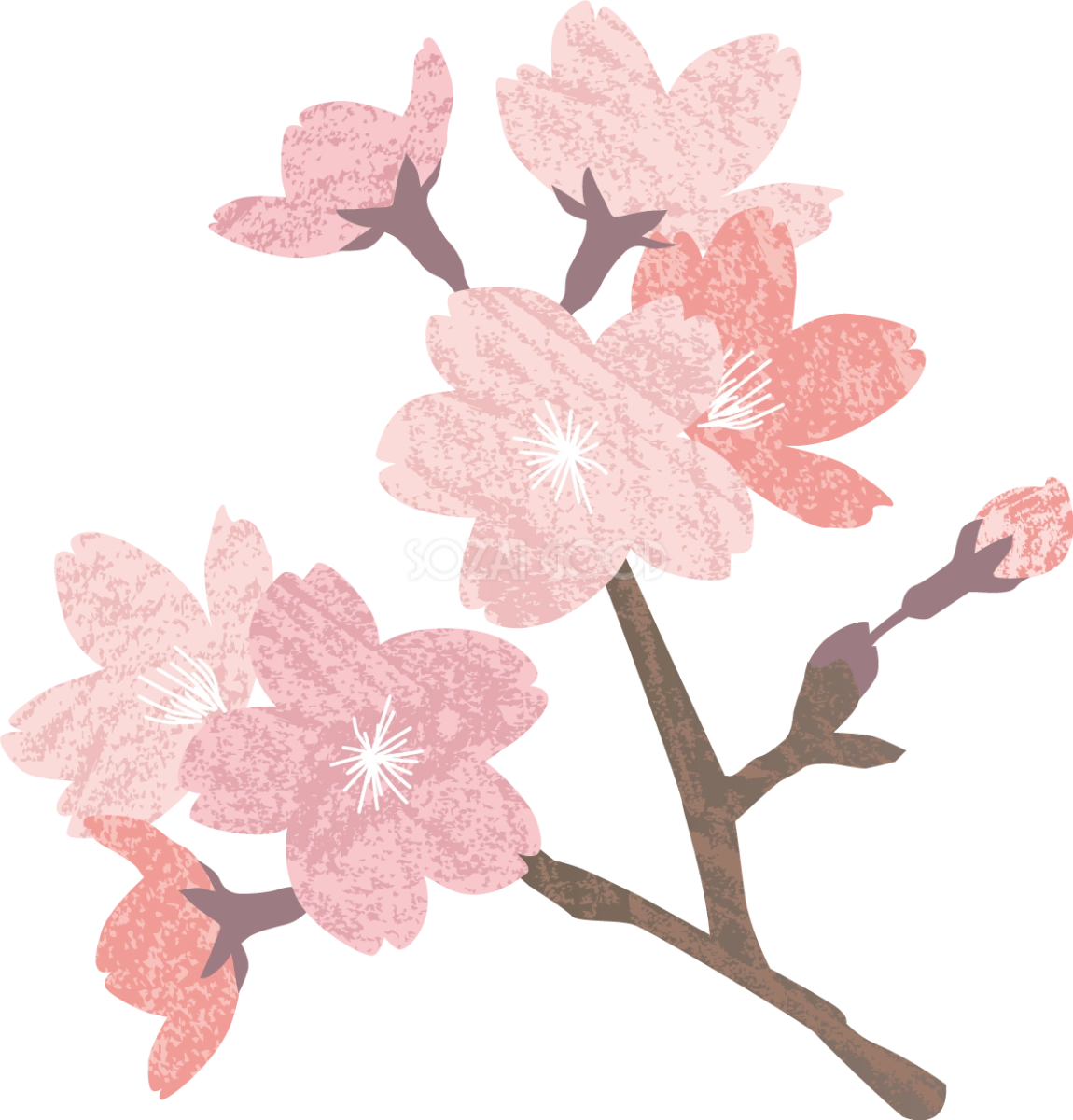 ザラッとしたテクスチャーのかわいい桜の枝イラスト無料 フリー87133