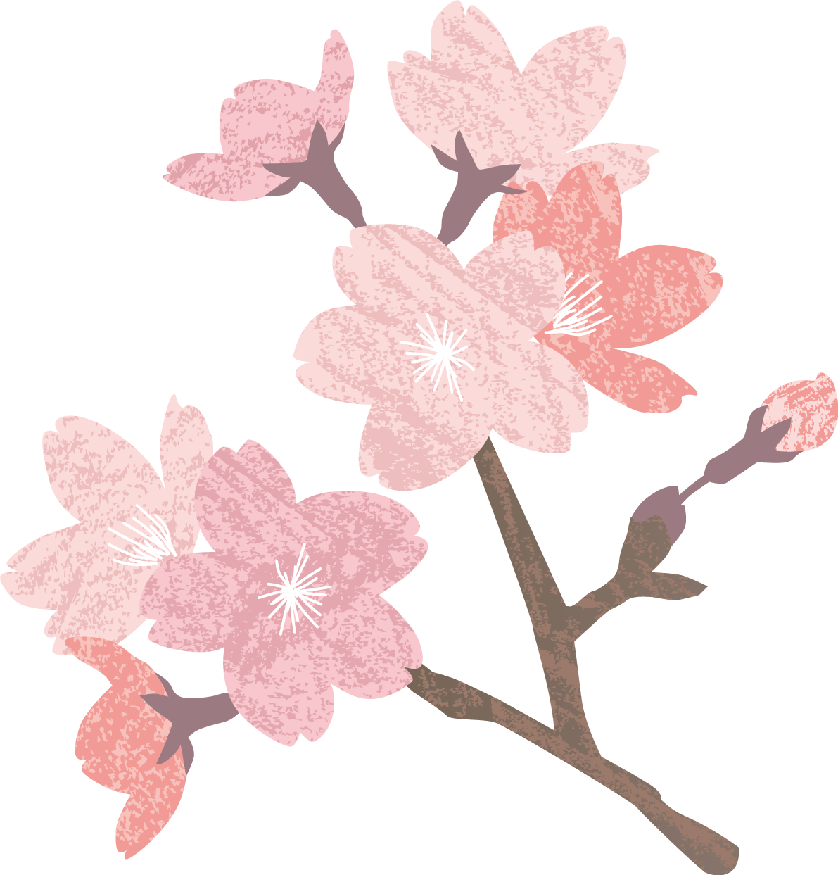 ザラッとしたテクスチャーのかわいい桜の枝イラスト無料 フリー87133に写真・文字を入れる