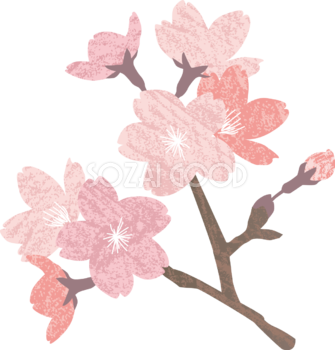 ザラッとしたテクスチャーのかわいい桜の枝イラスト無料 フリー87133