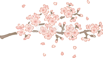 ペン画タッチのかわいい桜の枝と散る花びらイラスト無料 フリー87140
