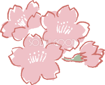 ラフなタッチのかわいい桜の花イラスト無料 フリー87141