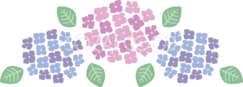 かわいいパステルカラー(ピンク 青)の横に並んだ3色の紫陽花(アジサイ)イラスト(梅雨)無料 フリー87179