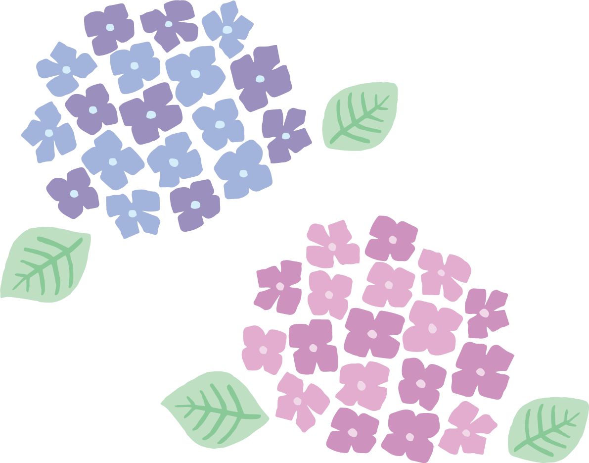 かわいいパステルカラーの青とピンクの紫陽花(アジサイ)イラスト(梅雨)無料 フリー87181に写真・文字を入れる