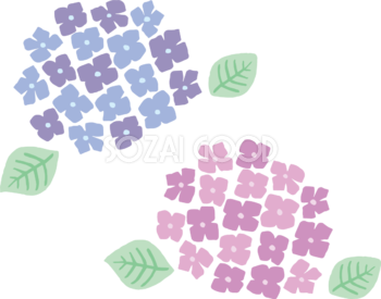 かわいいパステルカラーの青とピンクの紫陽花(アジサイ)イラスト(梅雨)無料 フリー87181