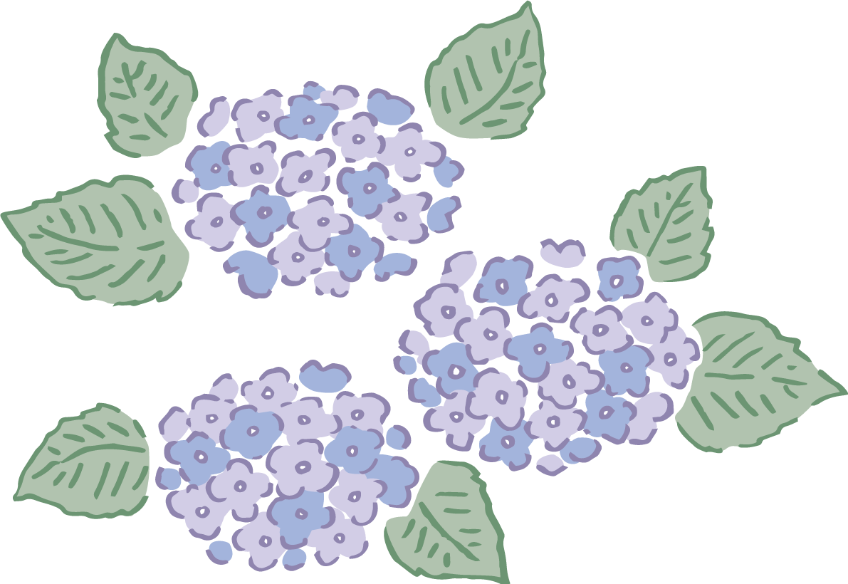 ペン画タッチの3輪(青)の紫陽花(アジサイ)イラスト(梅雨)無料 フリー87183に写真・文字を入れる