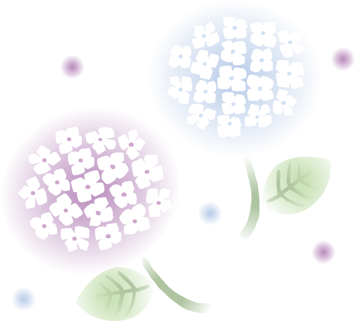 ぼかしたタッチの青と紫の紫陽花(アジサイ)イラスト(梅雨)無料 フリー87186に写真・文字を入れる