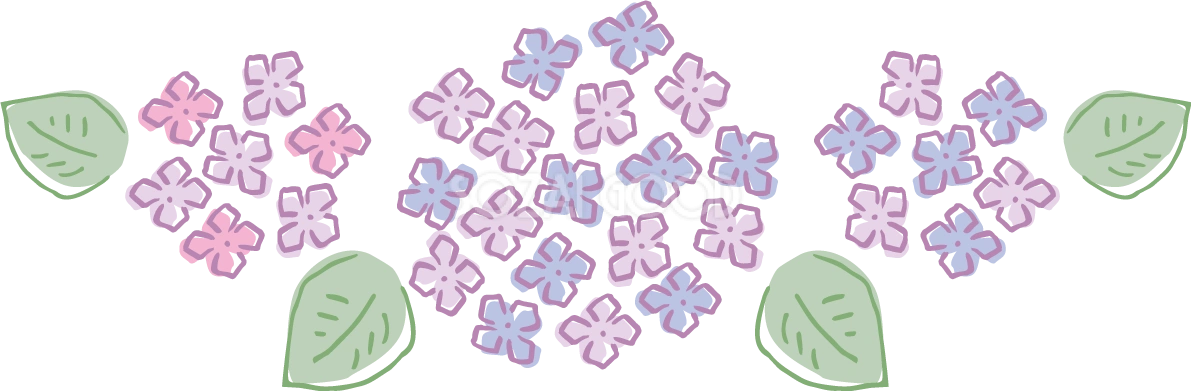 ラフなタッチの2色(ピンク 青)の並んだ紫陽花(アジサイ)イラスト(梅雨)無料 フリー87187