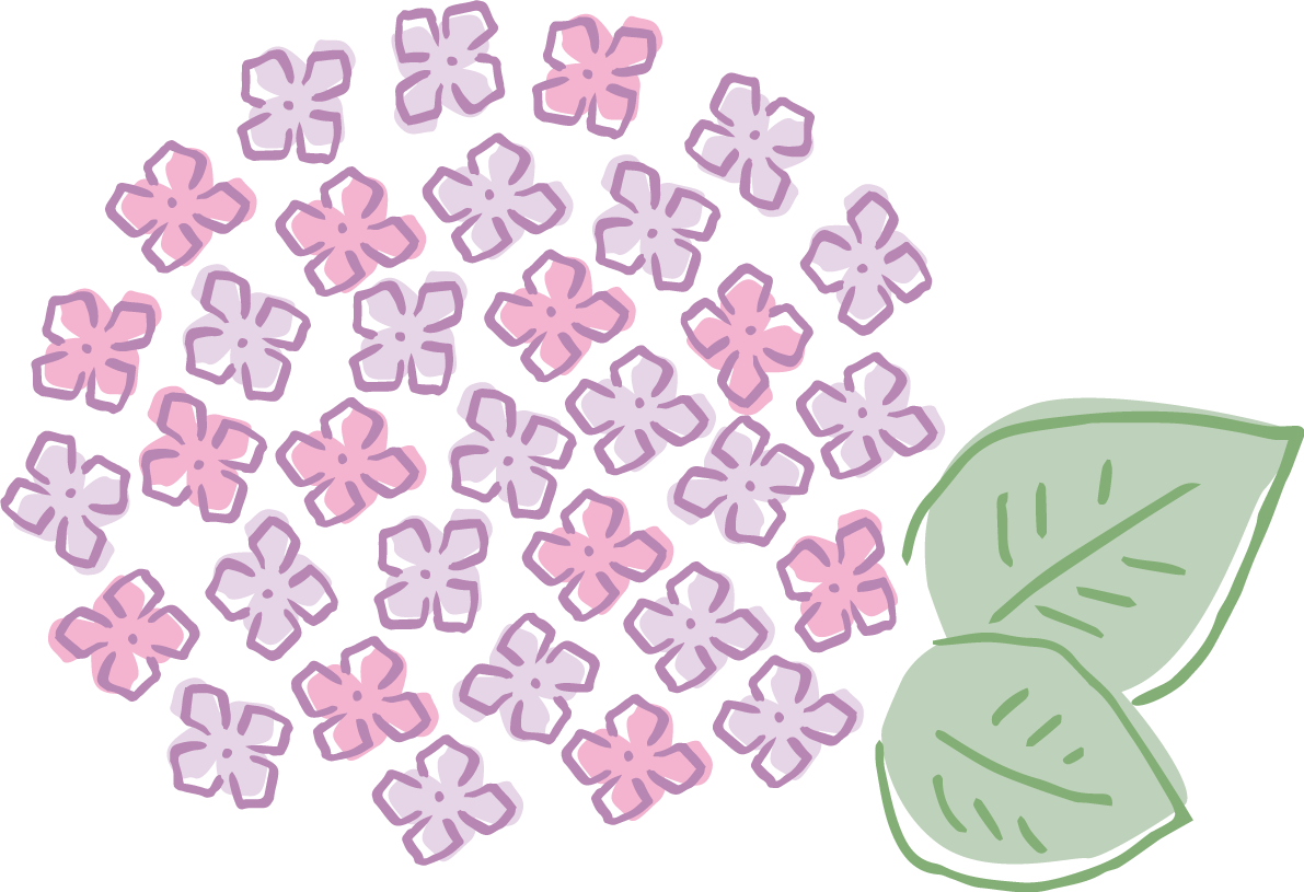 ラフなタッチのピンクの紫陽花(アジサイ)イラスト(梅雨)無料 フリー87188に写真・文字を入れる