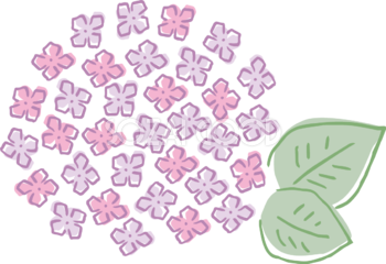 ラフなタッチのピンクの紫陽花(アジサイ)イラスト(梅雨)無料 フリー87188