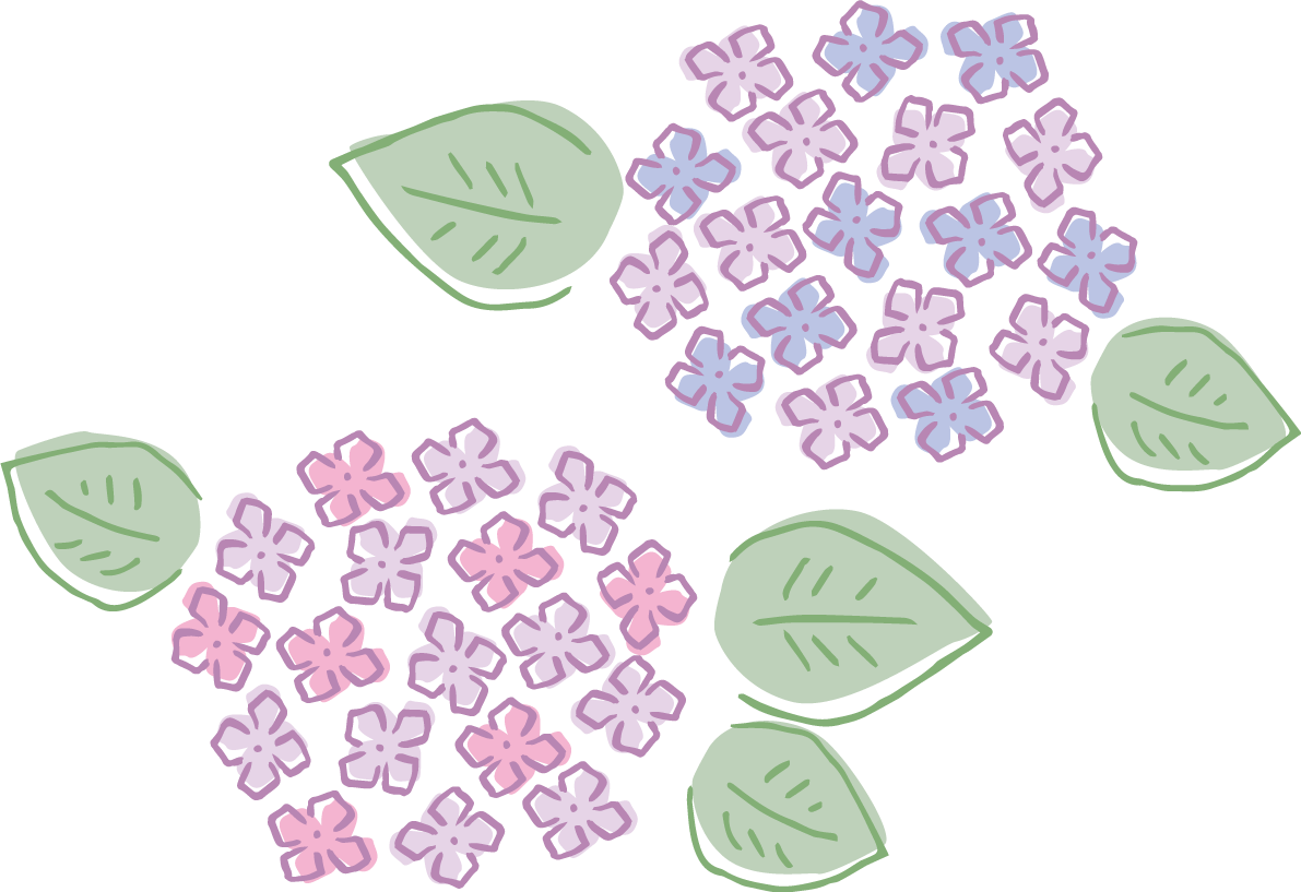 ラフなタッチの青とピンクの紫陽花(アジサイ)イラスト(梅雨)無料 フリー87189に写真・文字を入れる