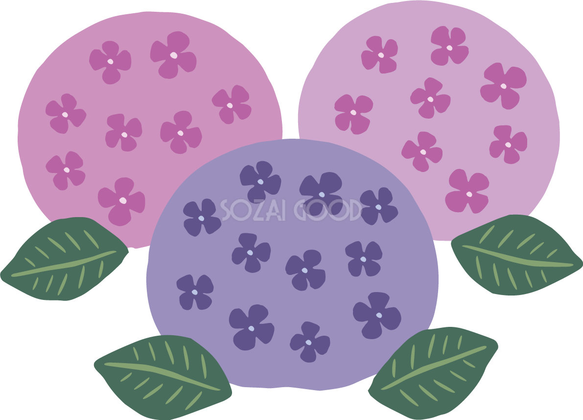 レトロなタッチ(紫 ピンク)の紫陽花(アジサイ)イラスト(梅雨)無料 フリー87191