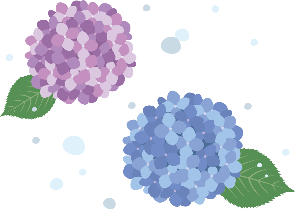 綺麗めなタッチの2色(青 紫)の紫陽花(アジサイ)と雨イラスト(梅雨)無料 フリー87193に写真・文字を入れる
