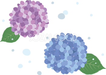 綺麗めなタッチの2色(青 紫)の紫陽花(アジサイ)と雨イラスト(梅雨)無料 フリー87193