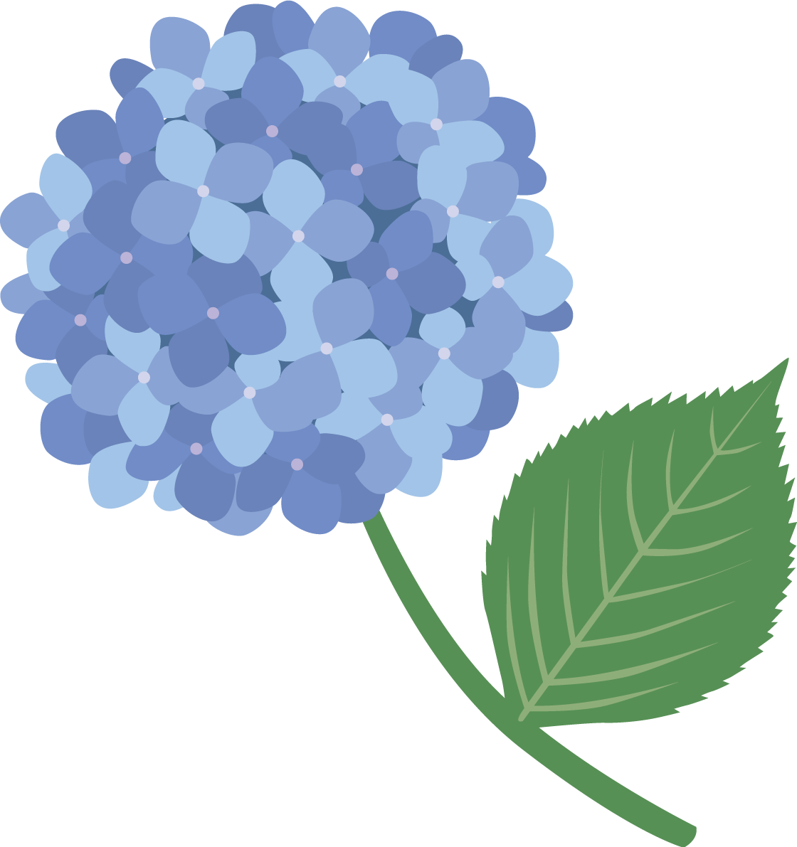 綺麗めなタッチの青色の紫陽花(アジサイ)イラスト(梅雨)無料 フリー87196に写真・文字を入れる