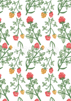かわいいポンポン花ボタニカル柄(植物)背景イラスト無料 フリー87287