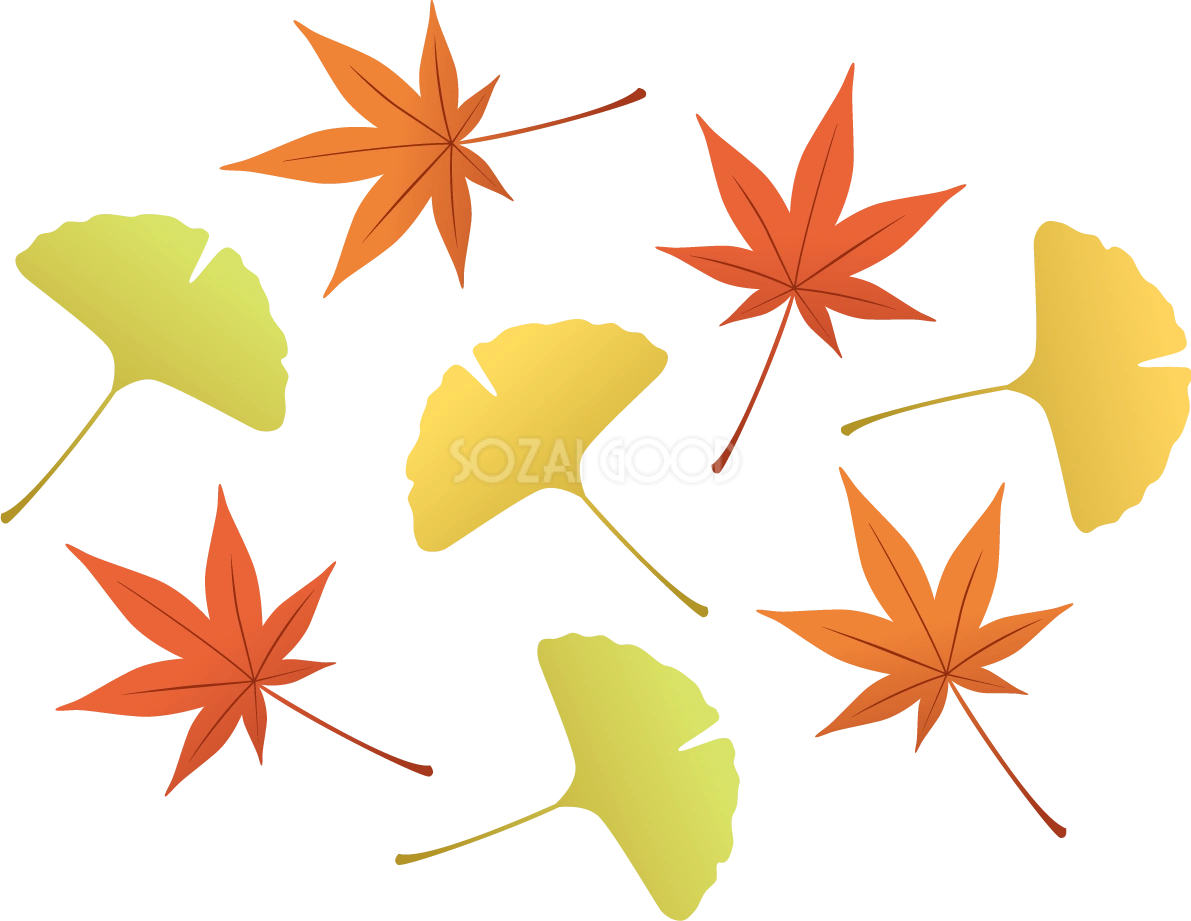 綺麗(美しい)な紅葉(もみじ)といちょう(イチョウ)の葉っぱ 秋イラスト無料 フリー87323